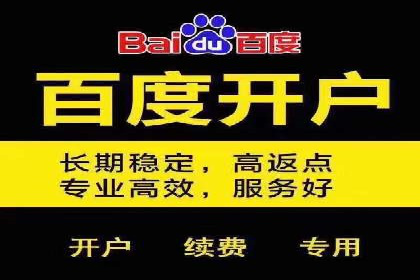 搜索引擎营销（SEM）专员的挑战与机遇